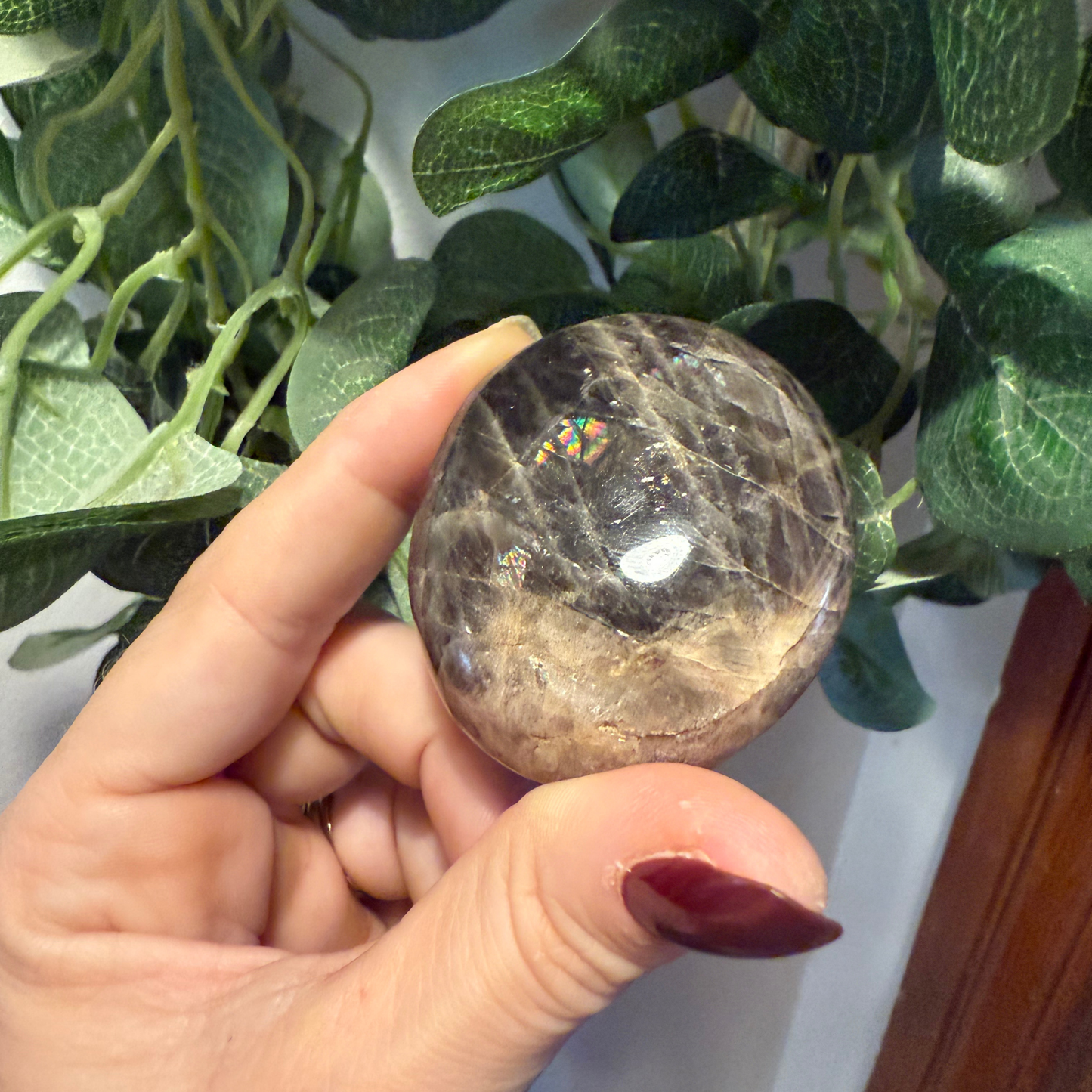 Madagascan Palm Stones