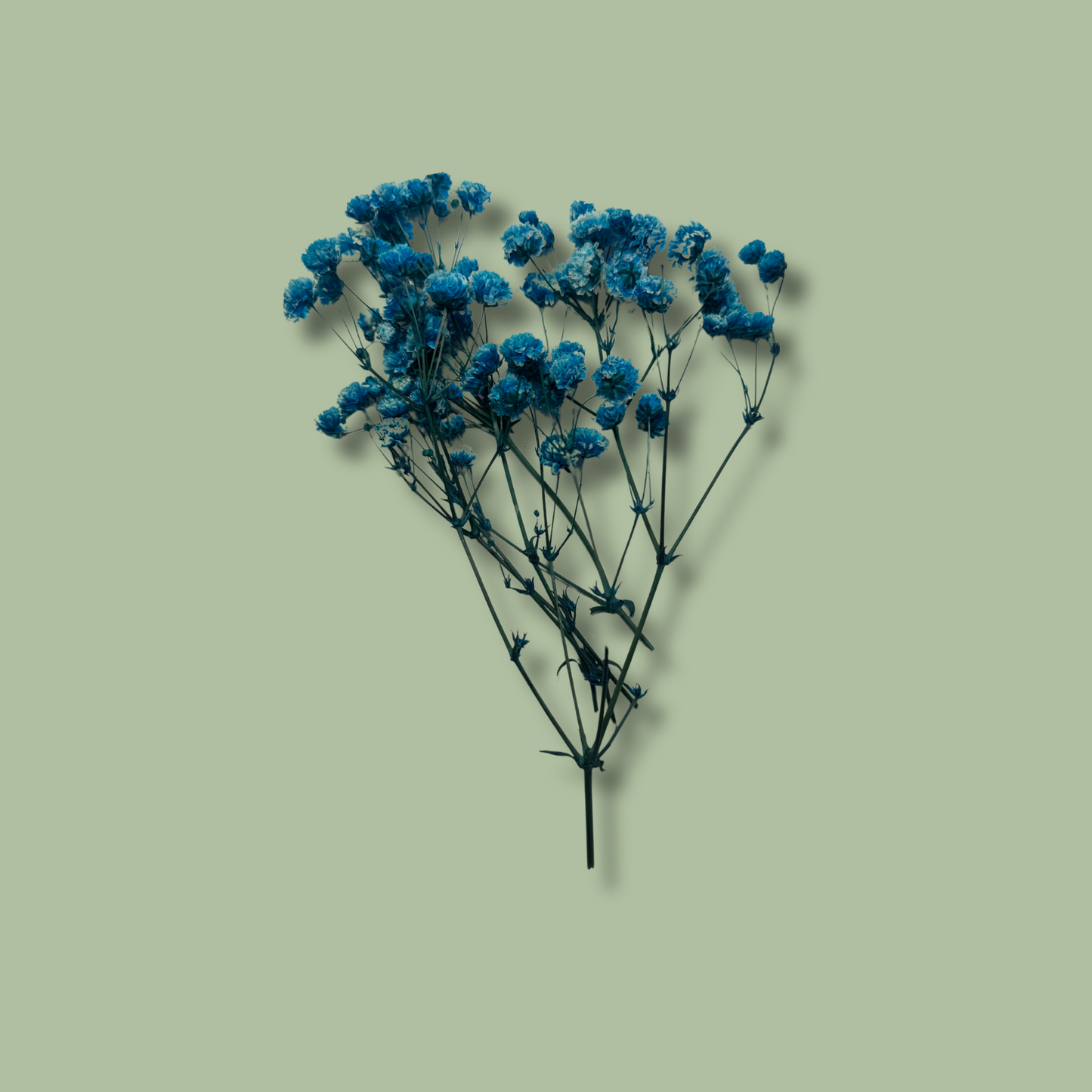 Floral Letter Keyring