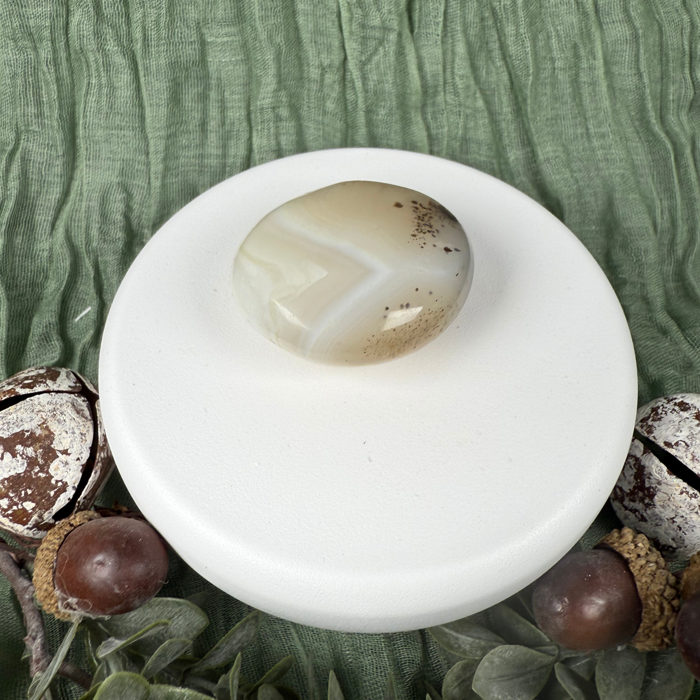 Madagascan Palm Stones