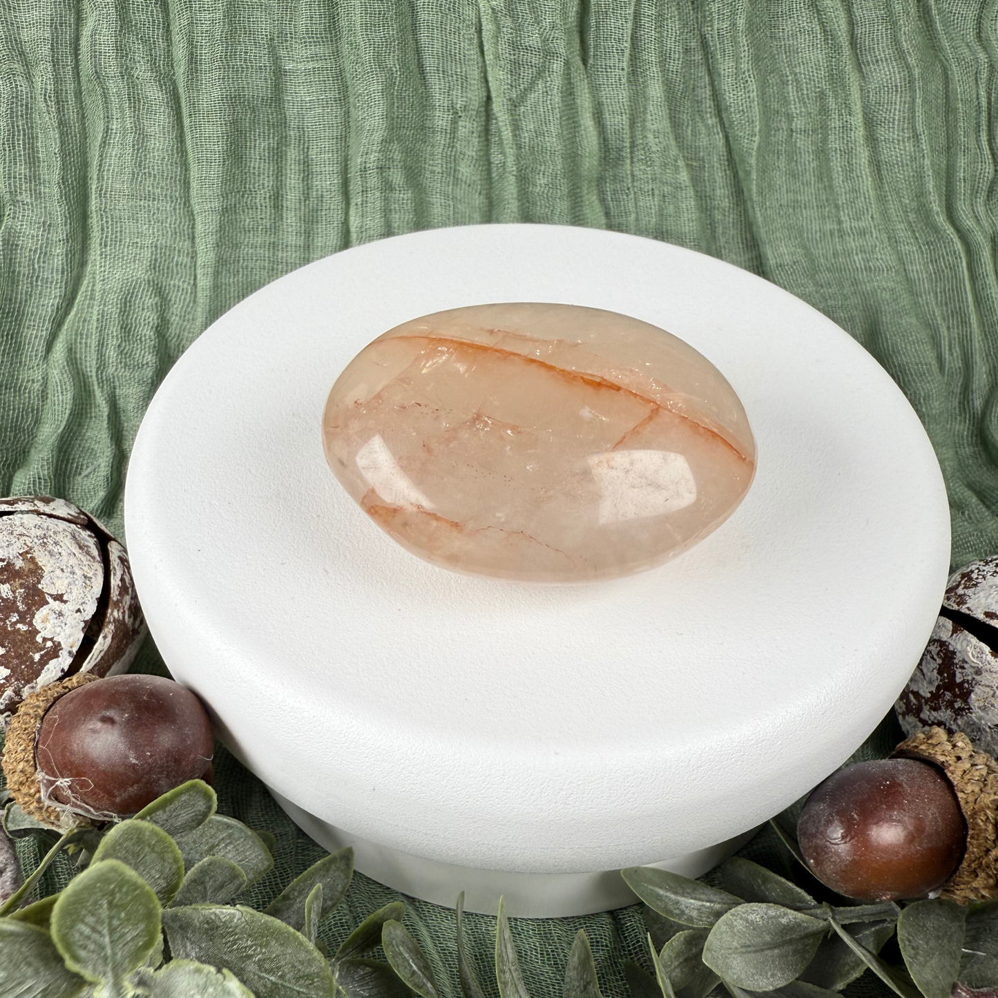 Madagascan Palm Stones