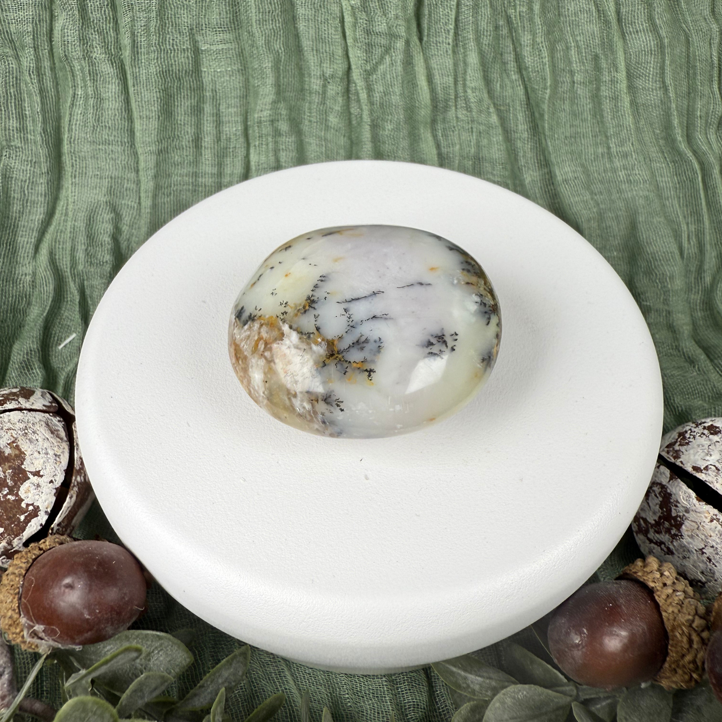 Madagascan Palm Stones