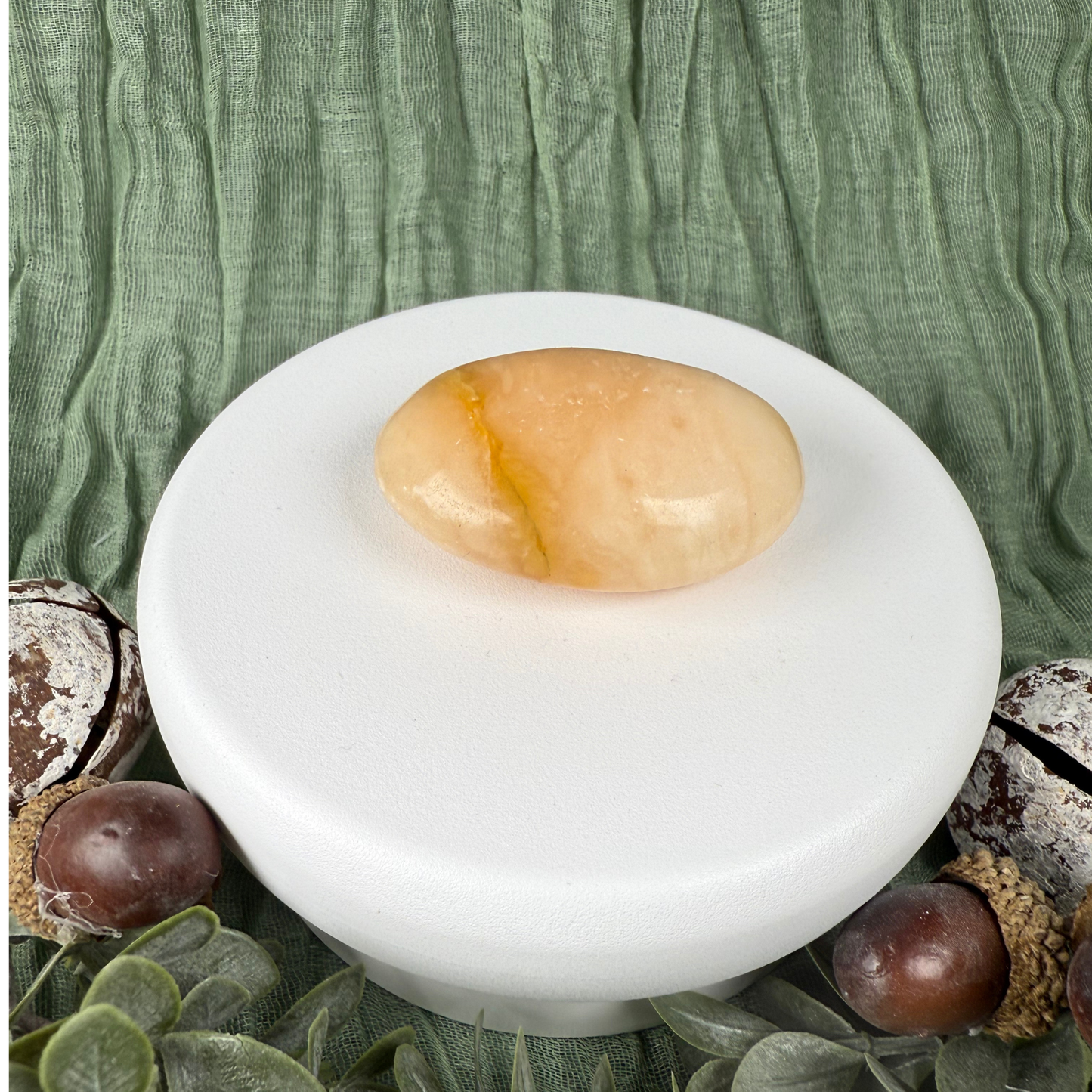 Madagascan Palm Stones