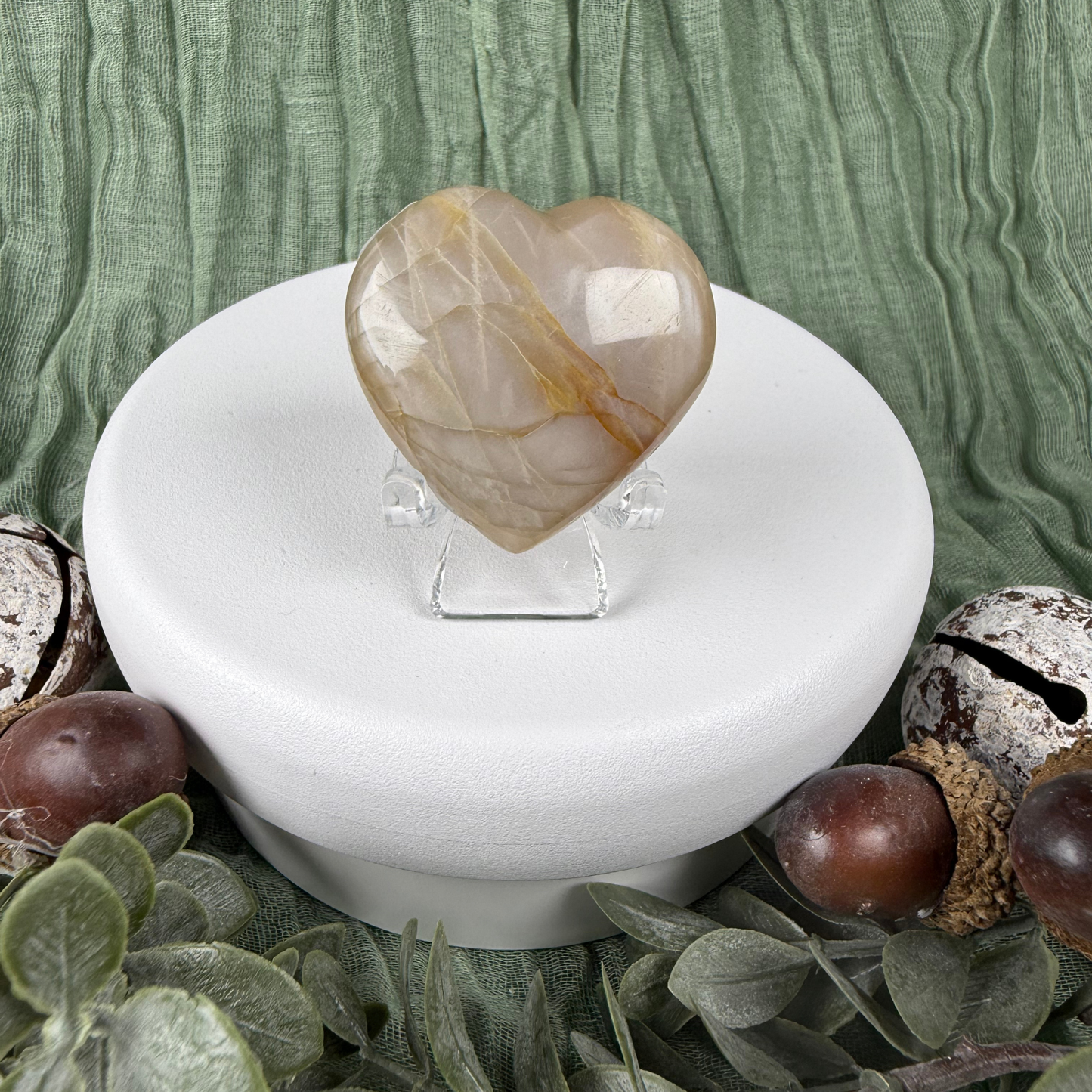 Madagascan Hearts